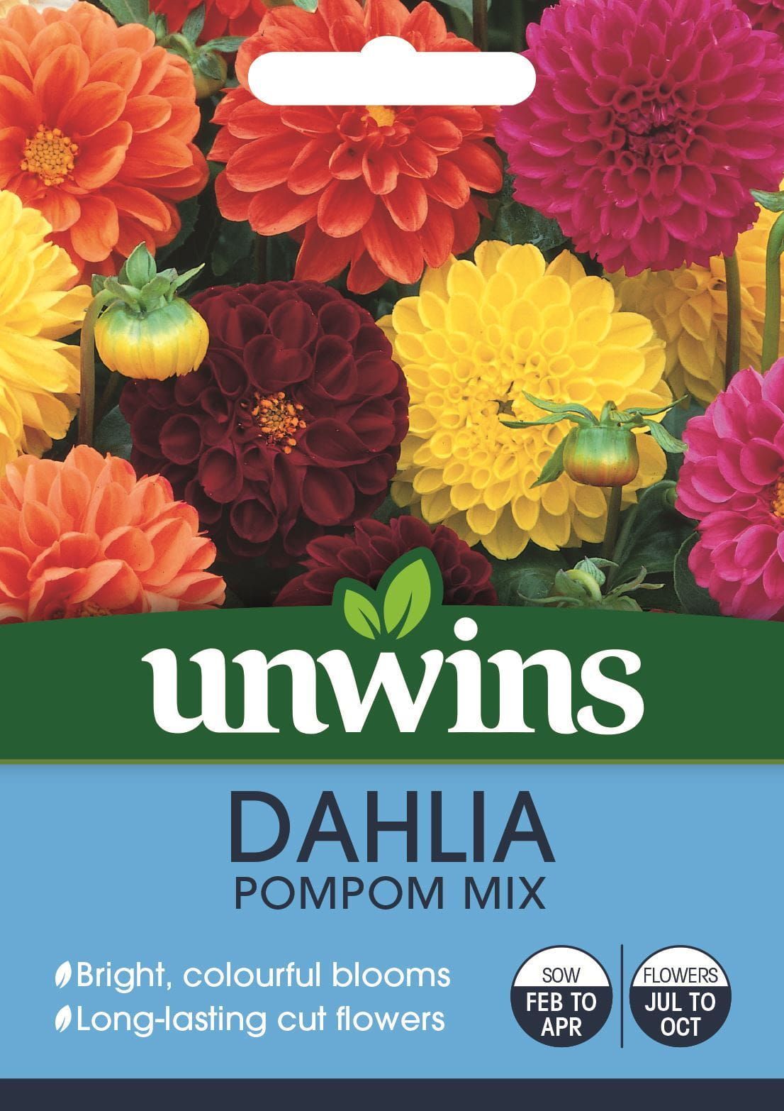 Unwins Dahlia Pompom Mix 50 Seeds