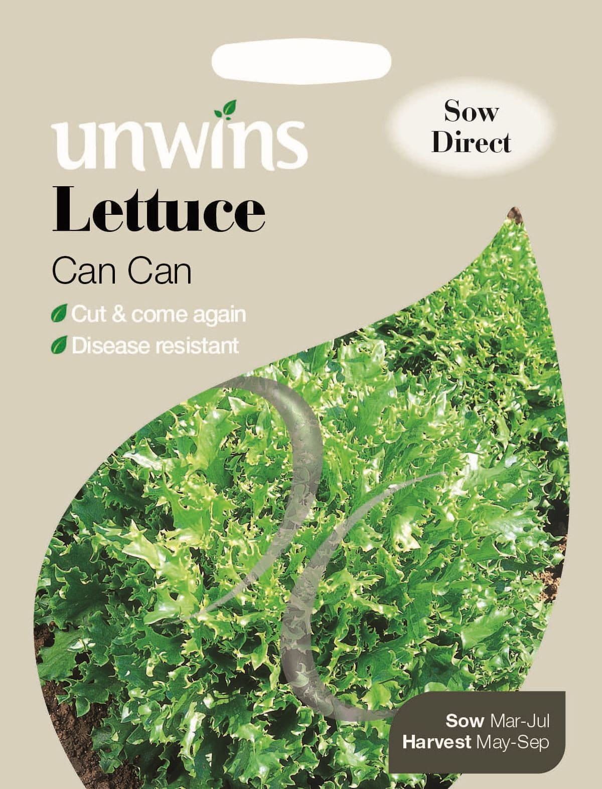 Unwins Lettuce Can Can 250 Seeds