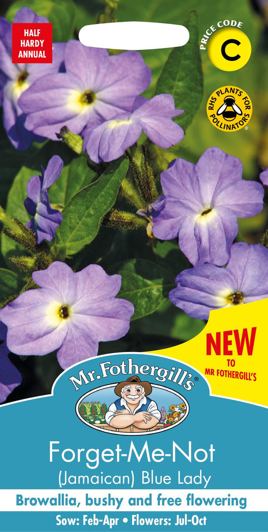 Mr Fothergills - Flower - Forget-Me-Not (Jamaican) Blue Lady - 1000 Seeds