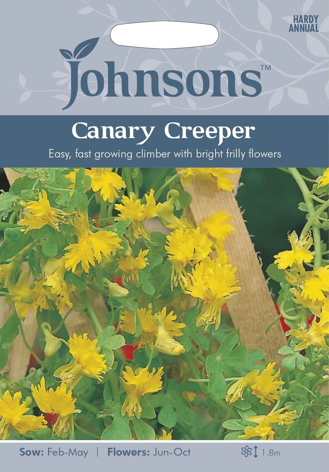 Johnsons Canary Creeper 25 Seeds