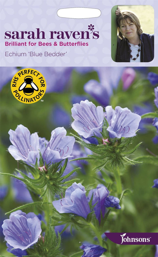 Johnsons Sarah Raven's Echium Blue Bedder 200 Seeds