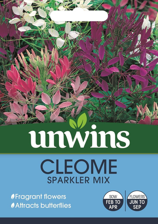 Unwins Cleome Sparkler Mix 8 Seeds