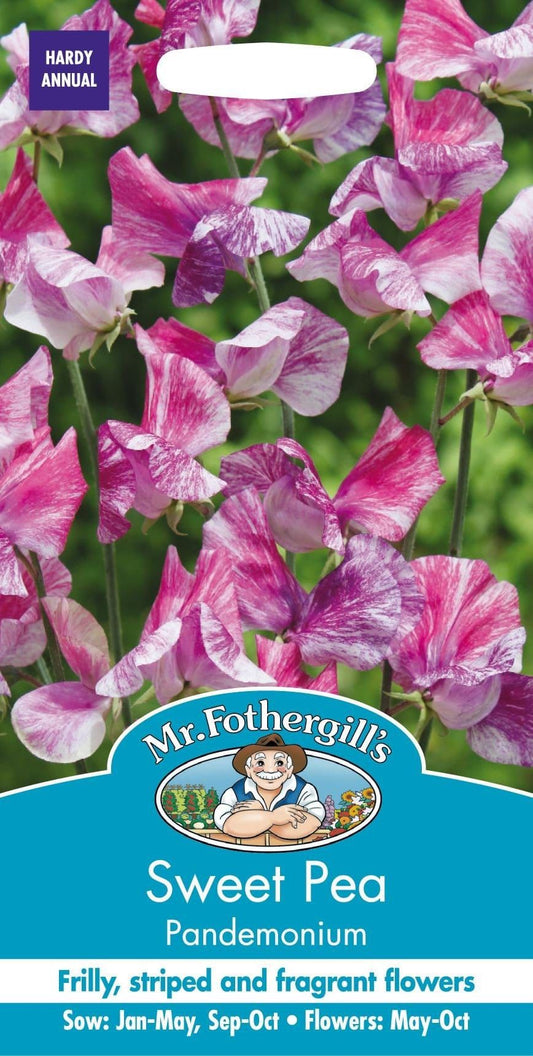 Mr Fothergills Sweet Pea Pandemonium 20 Seeds