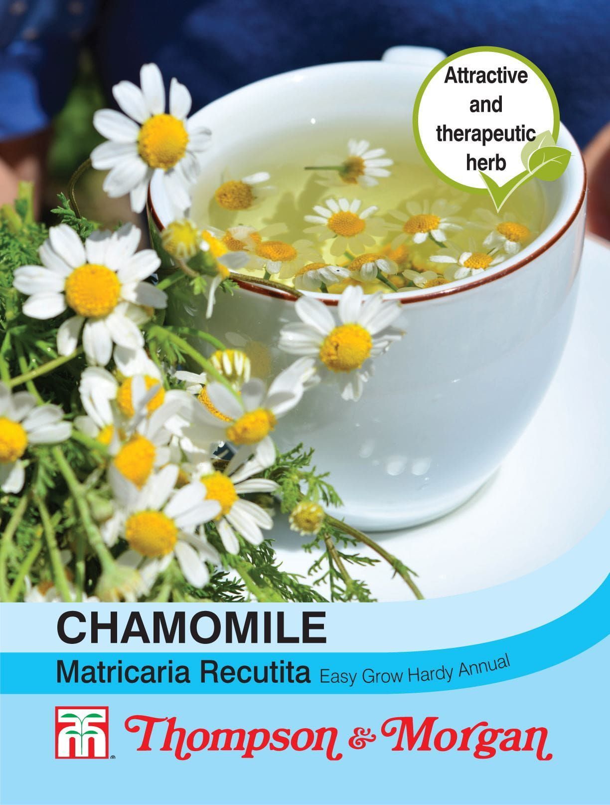Thompson & Morgan - Flowers - Chamomile - 600 Seeds