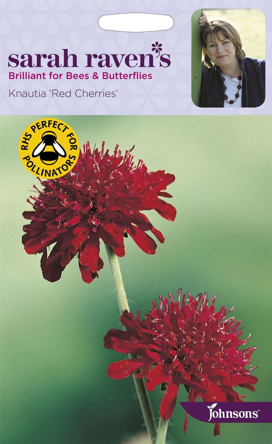 Johnsons Sarah Raven's Knautia Red Cherries 50 Seeds