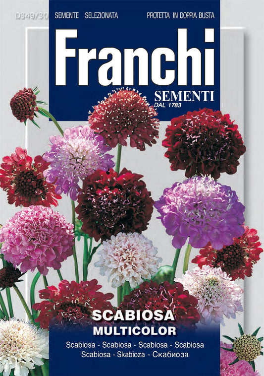 Franchi Seeds of Italy - Flower - FDBF_ 349-30 - Scabiosa - Mix - Seeds