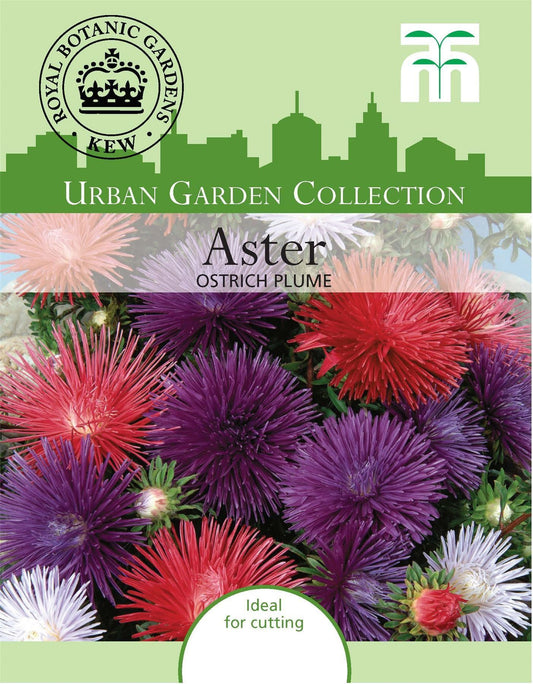 Thompson & Morgan Urban Garden Flowers Aster Ostrich Plume Mixed 300 Seed