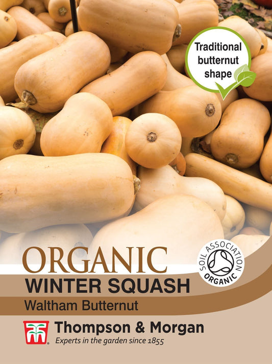 Thompson & Morgan - Organic - Winter Squash - Waltham Butternut - 6 Seeds