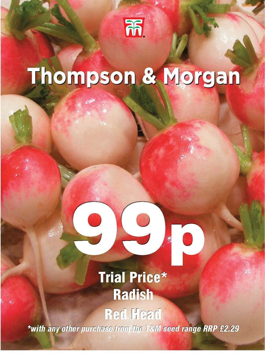 Thompson & Morgan Radish Red Head 400 Seed Only 99p