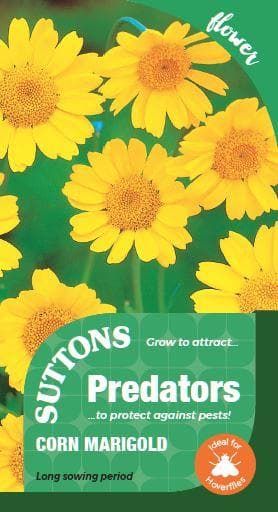Sutton Seeds - Wildlife Garden Seeds - Corn Marigold