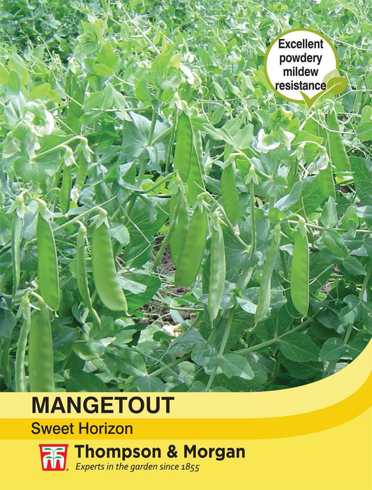 Thompson & Morgan - Vegetable - Mangetout - Sweet Horizon - 100 Seeds