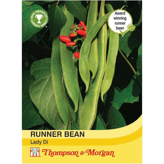 Thompson & Morgan Runner Bean Lady Di 40 Seed