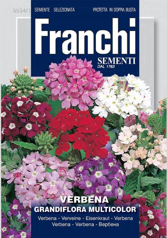 Franchi Seeds of Italy - Flower - FDBF_ 354-1 - Verbena grandiflora - Mix - Seeds