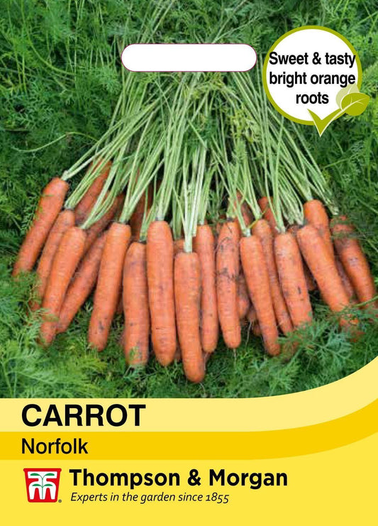 Thompson & Morgan Vegetable Carrot Norfolk - 300 Seeds