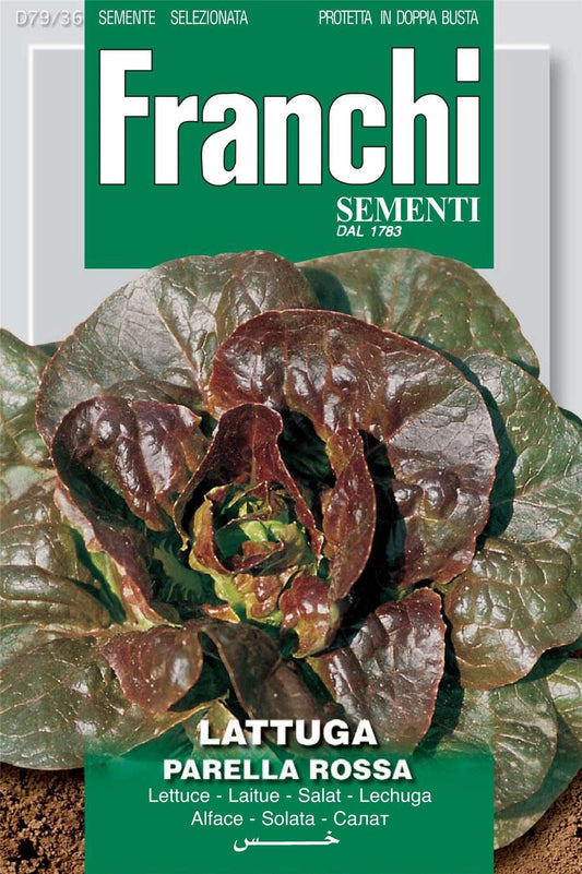 Franchi Seeds of Italy Lettuce Parella Rossa / Rouge De Montpellier Seeds
