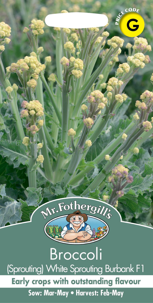 Mr Fothergills - Vegetable - Broccoli - White Sprouting Burbank F1 -  Seeds