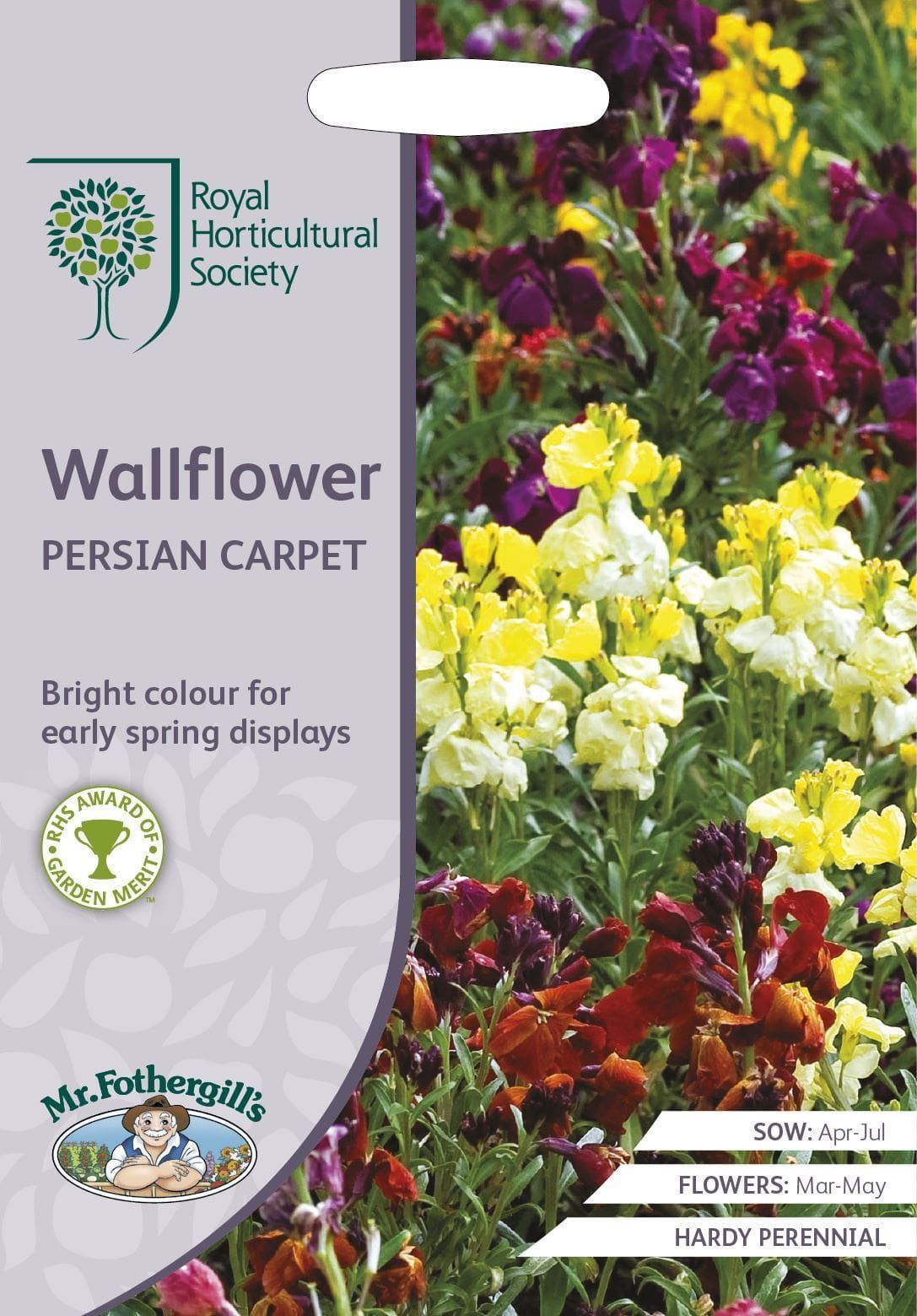 Mr Fothergills RHS Wallflower Persian Carpet 500 Seeds