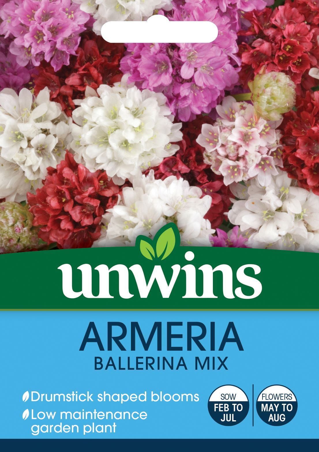 Unwins Armeria Ballerina Mix 20 Seeds