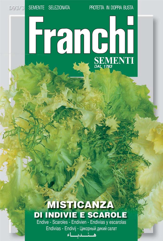 Franchi Seeds of Italy Mix Of Endives And Escaroles Di Indivie E Scarole Seeds