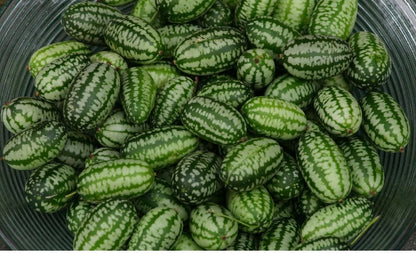 Cucamelon Seeds – Mexican Sour Gherkin