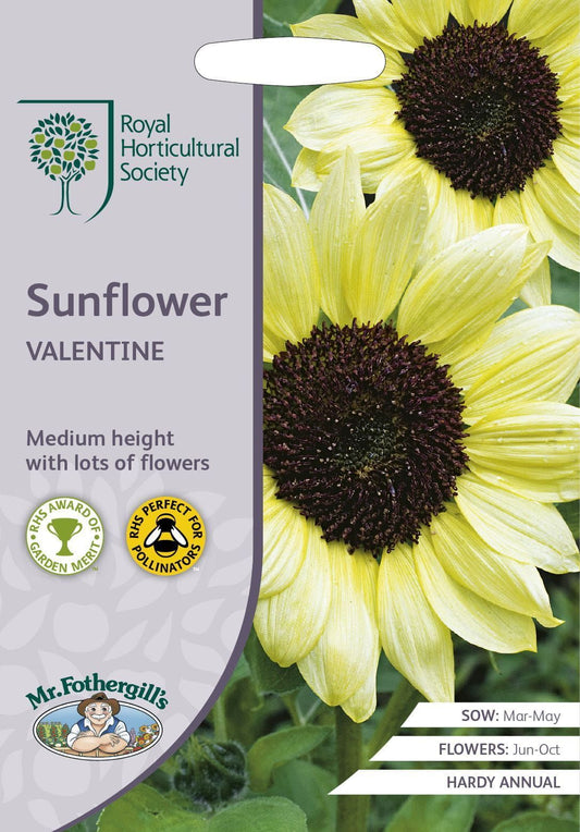 Mr Fothergills RHS Sunflower Valentine 40 Seeds