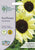 Mr Fothergills RHS Sunflower Valentine 40 Seeds