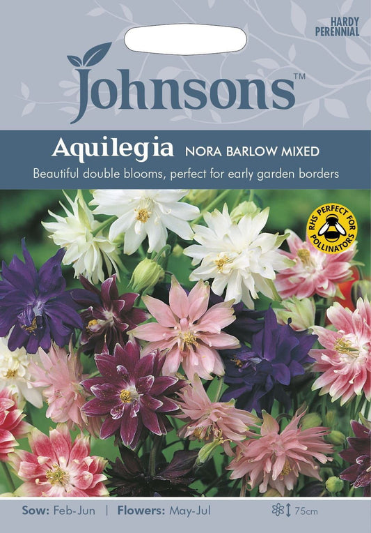 Johnsons Aquilegia Nora Barlow Mixed 75 Seeds