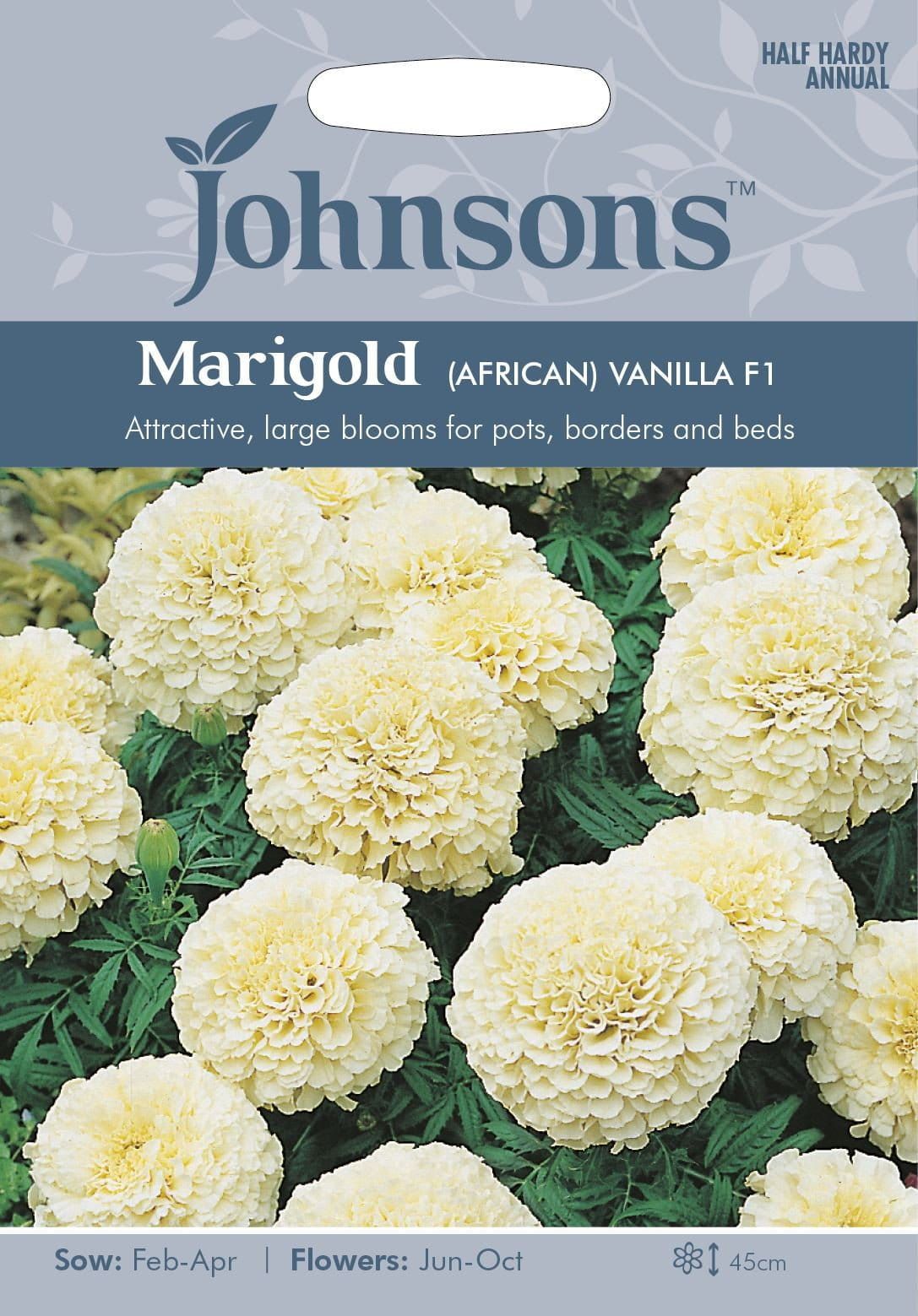 Johnsons Flower African Marigold Vanilla F1 20 Seeds