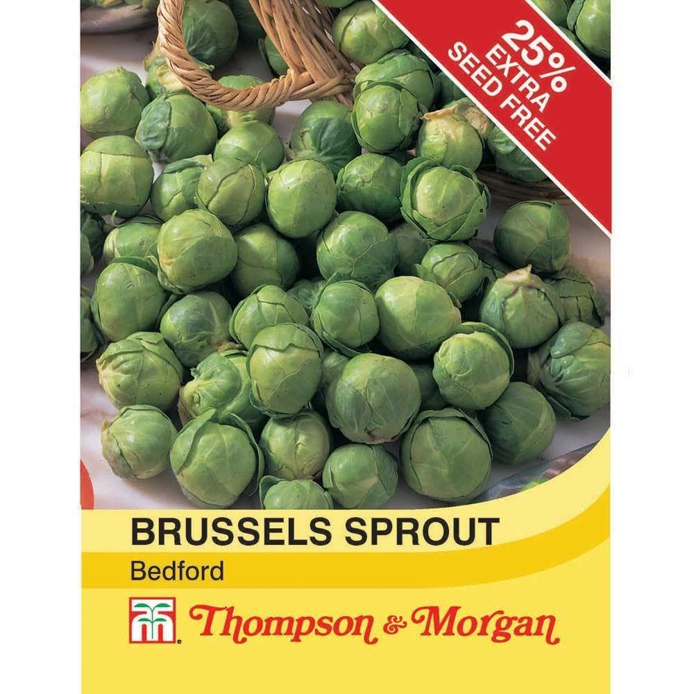 Thompson & Morgan Brussels Sprout Bedford 100 Seed