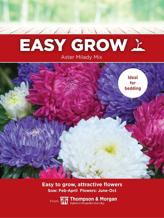 Thompson & Morgan - EasyGrow - Flower - Aster - Milady Mix Mixed - 150 Seeds
