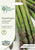 Mr Fothergills RHS Asparagus Connover's Colossal 50 Seeds