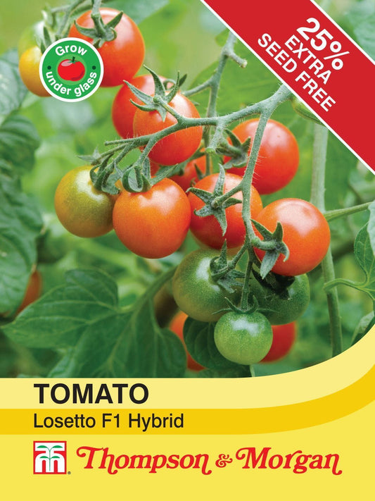 Thompson & Morgan Tomato Losetto F1 Hybrid 5 Seed