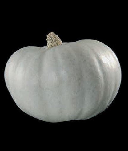 Winter Squash Crown Prince Seeds