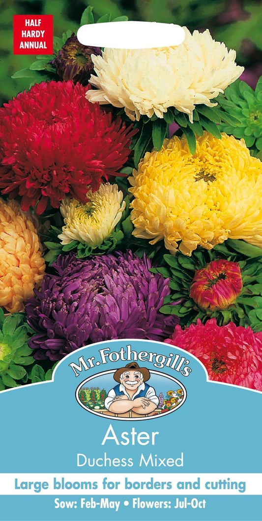 Mr Fothergills Aster Duchess Mixed 250 Seeds