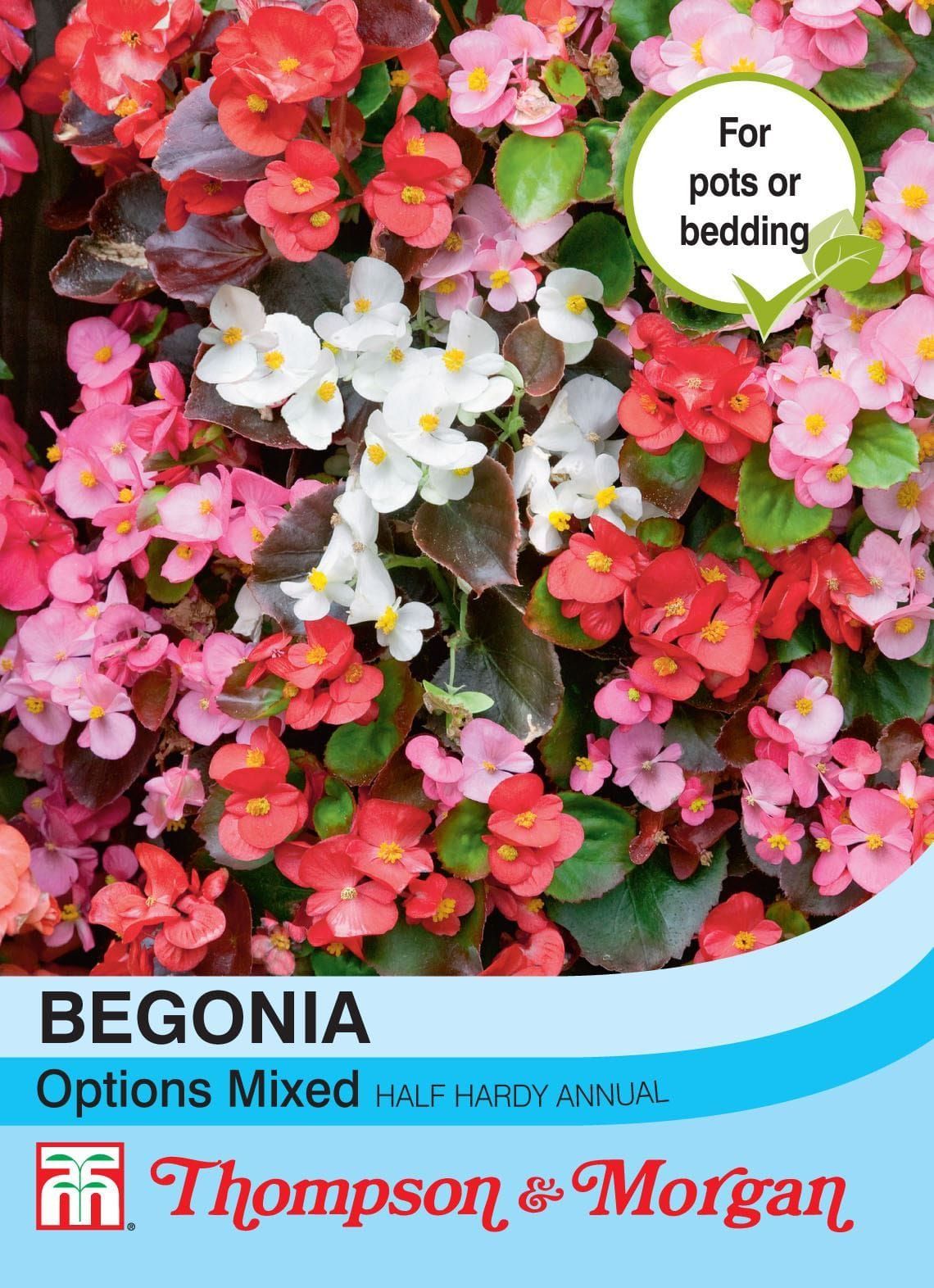 Thompson & Morgan Begonia Semperflorens Options Mixed 750 Seed