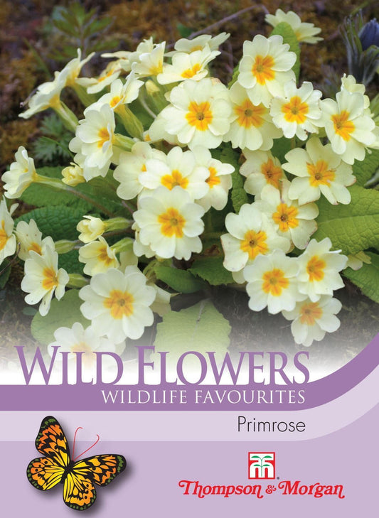 Thompson & Morgan Wild Flower Primrose Wild 50 Seed