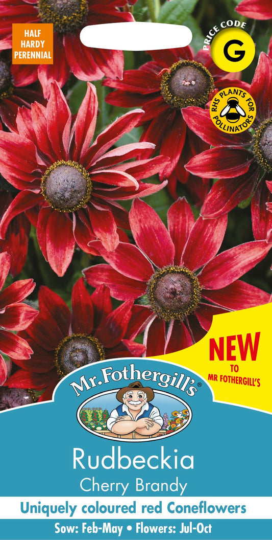 Mr Fothergills - Flower - Rudbeckia - Cherry Brandy - 35 Seeds