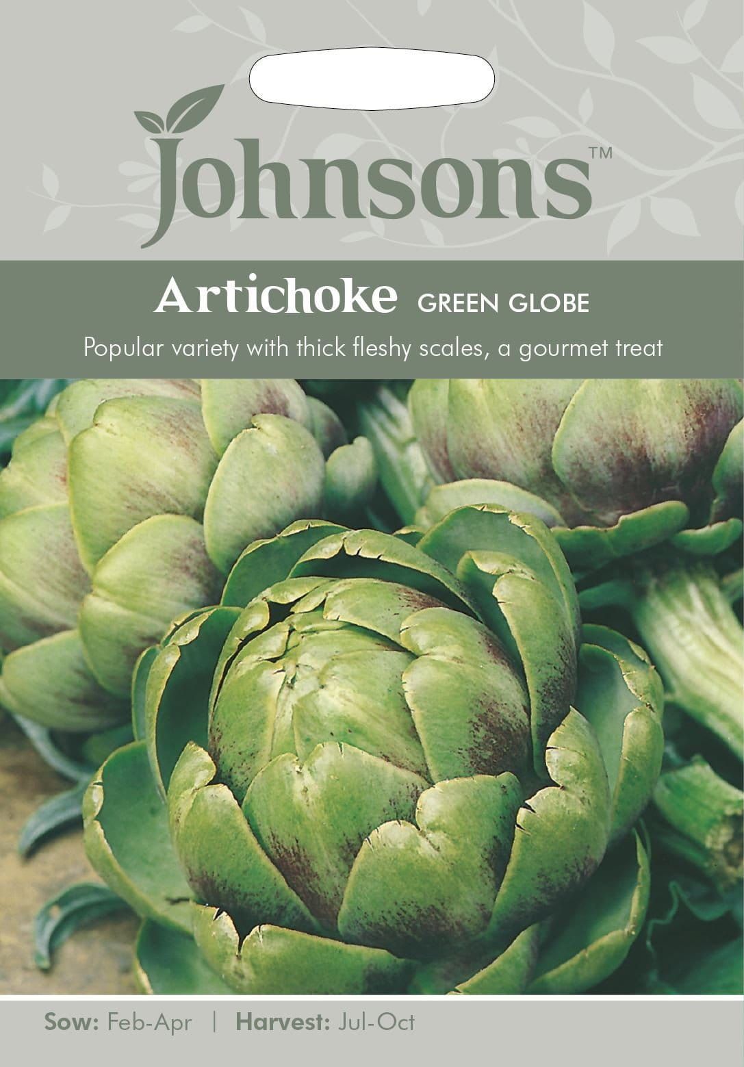 Johnsons Artichoke Green Globe 50 Seeds