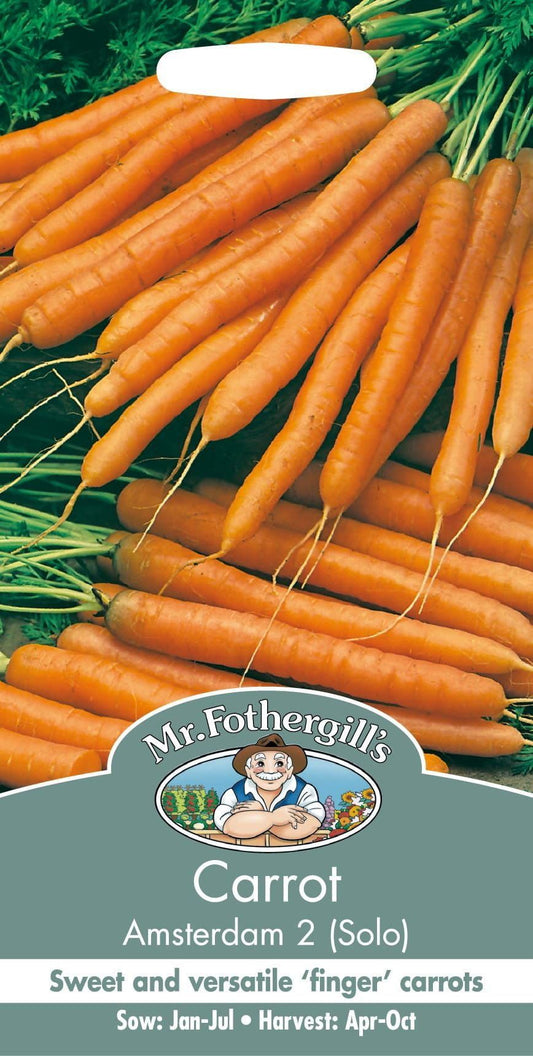 Mr Fothergills Carrot Amsterdam 2 Solo 1500 Seeds
