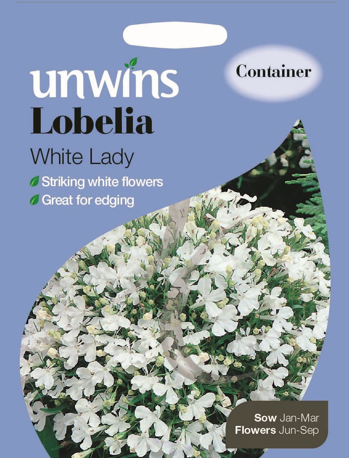 Unwins Lobelia White Lady 1000 Seeds