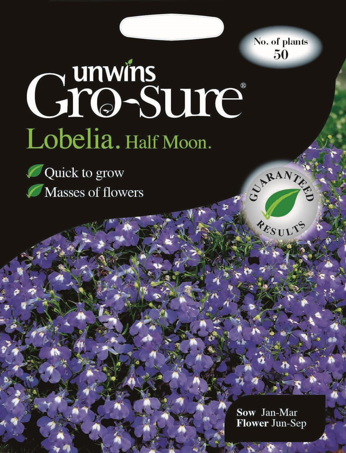 Unwins Lobelia Half Moon F1 50 Seeds