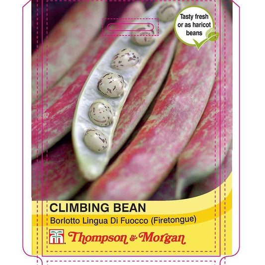 Thompson & Morgan Climbing Bean Borlotto Lingua (Firetongue) 75 Seed