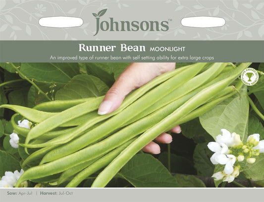 Johnsons Runner Bean Moonlight 40 Seeds