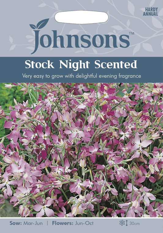 Johnsons Stock Night Scented 2000 Seeds