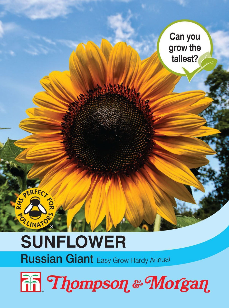 Thompson & Morgan Seeds – Premium Flower, Vegetable & Herb Seeds Online ...