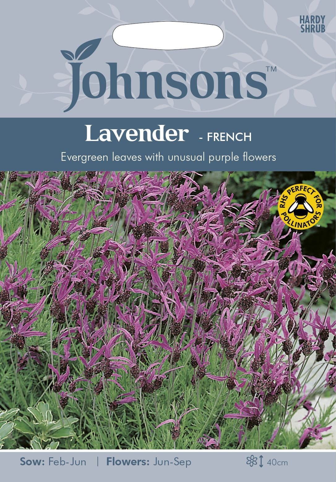 Johnsons Lavender French 35 Seeds