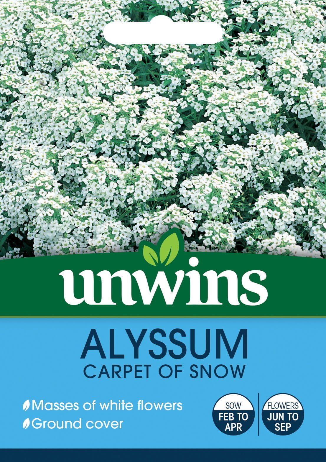 Unwins Alyssum Carpet Of Snow 800 Seeds