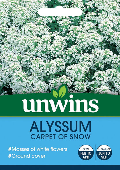 Unwins Alyssum Carpet Of Snow 800 Seeds