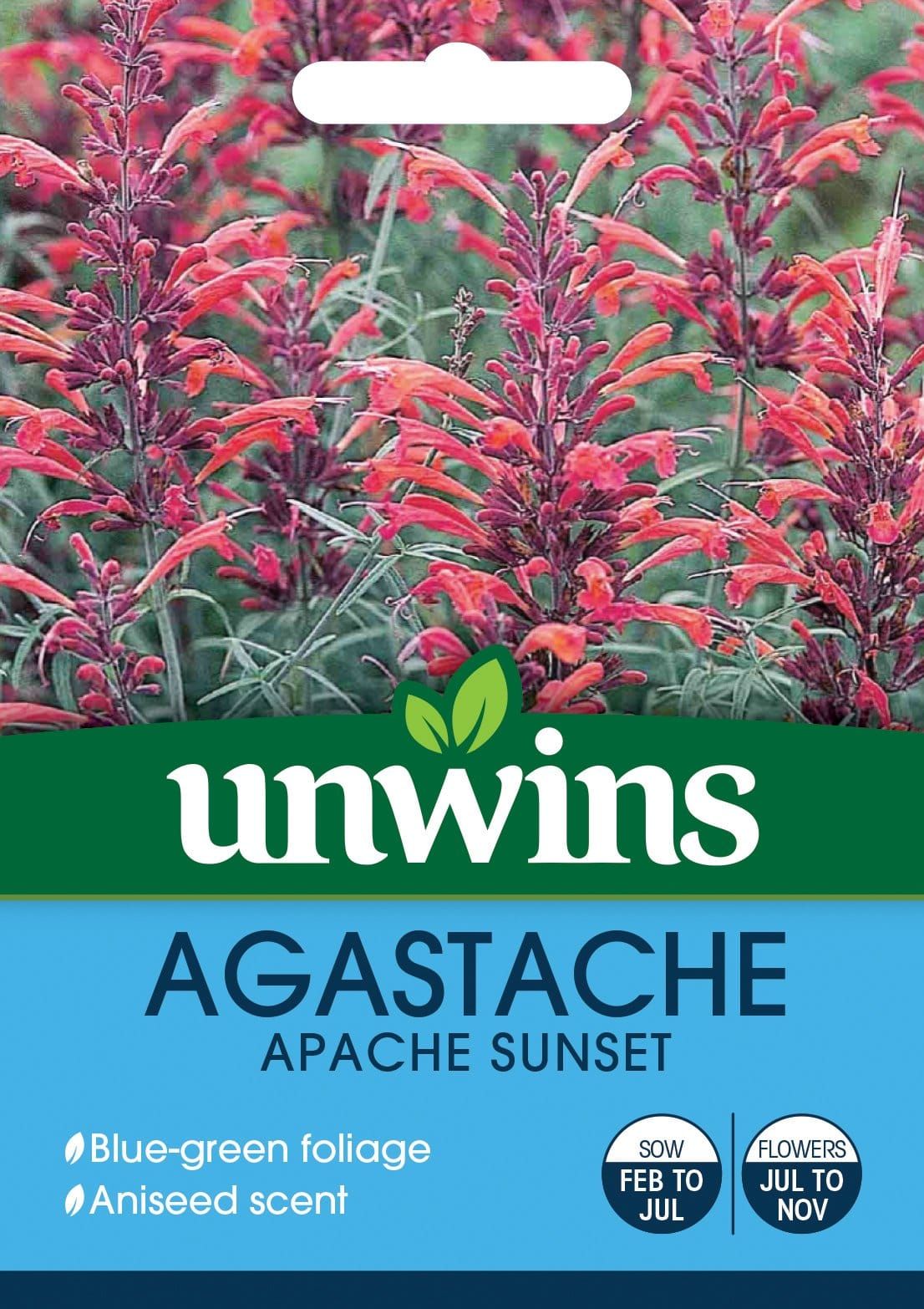 Unwins Agastache (Korean Mint) Apache Sunset 40 Seeds