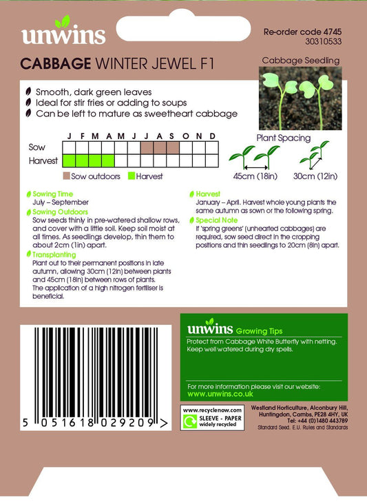 Unwins Cabbage Winter Jewel 40 Seeds